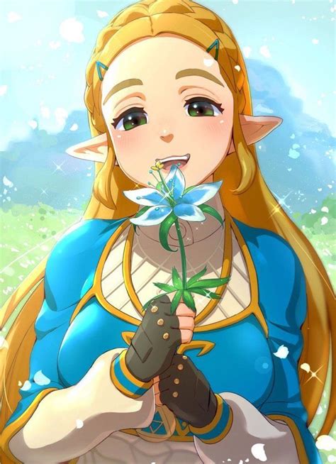 dessin animé zelda.